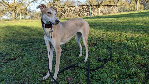 Das Warten hat ein Ende :) 